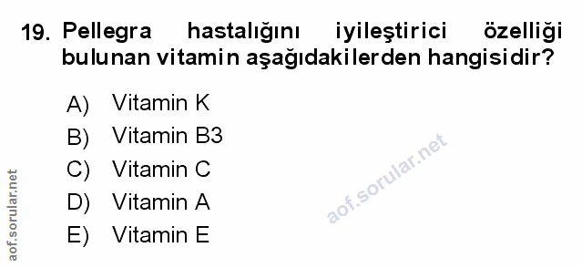 Soru 19