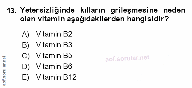 Soru 13
