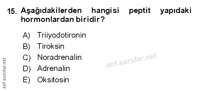 Soru 15