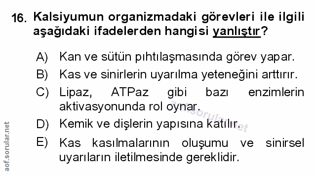 Soru 16