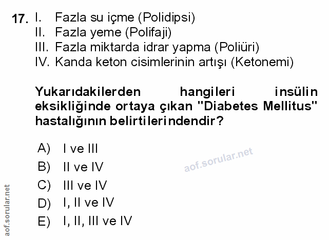 Soru 17