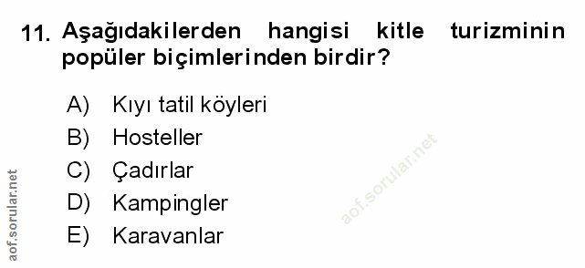 Soru 11