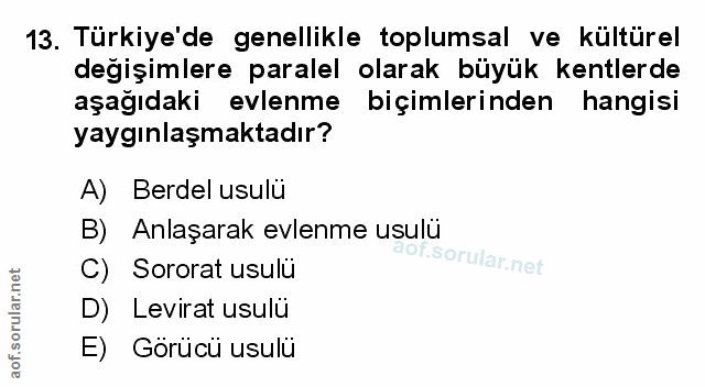 Soru 13