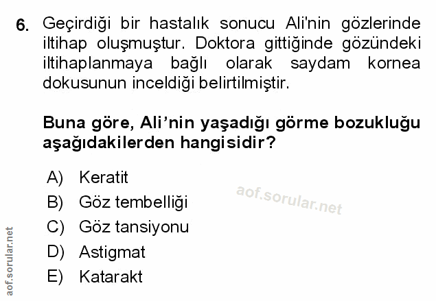 Soru 6