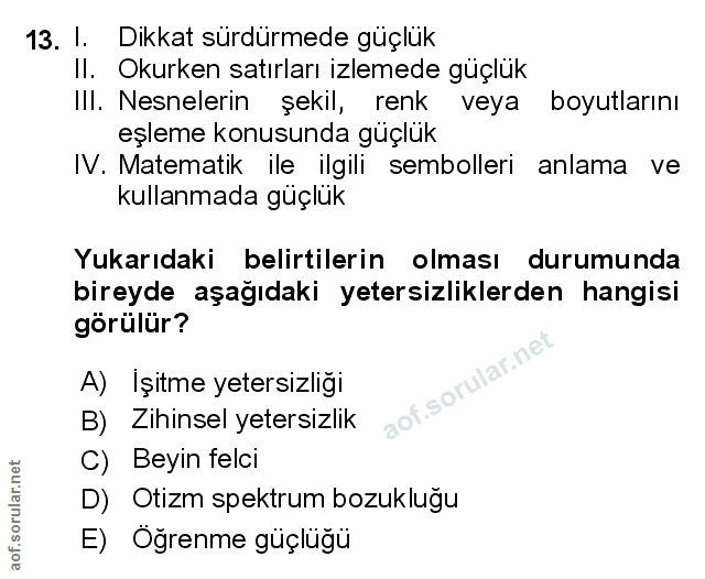 Soru 13