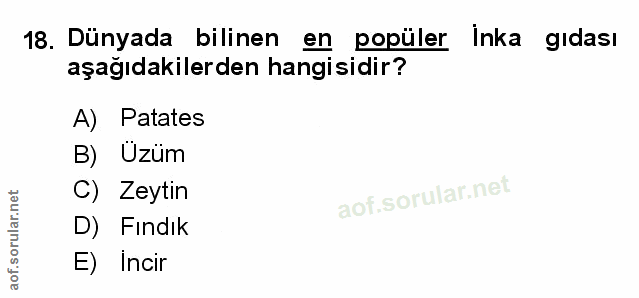 Soru 18