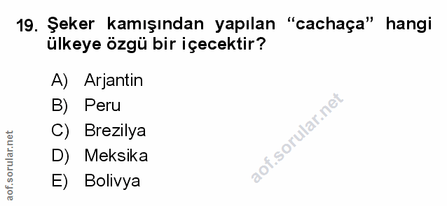 Soru 19