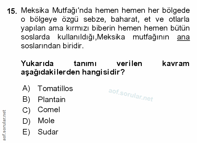 Soru 15