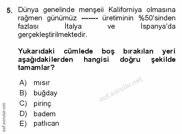 Soru 5
