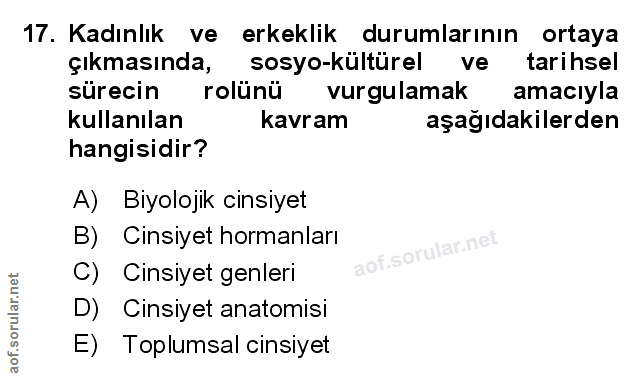 Soru 17