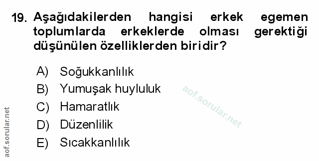 Soru 19