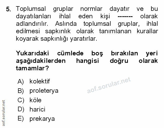 Soru 5
