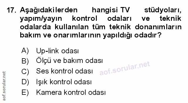 Soru 17