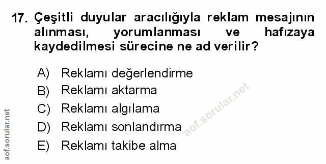 Soru 17