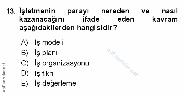 Soru 13