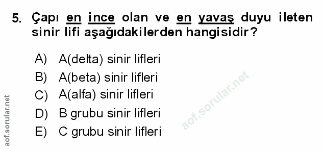Soru 5