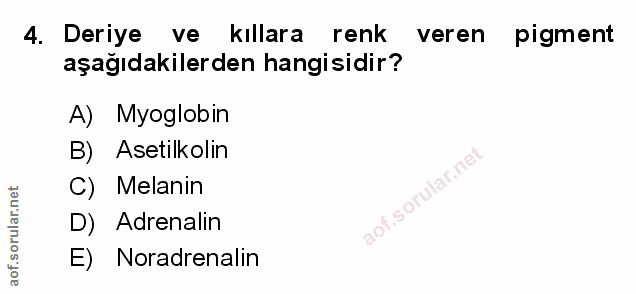 Soru 4