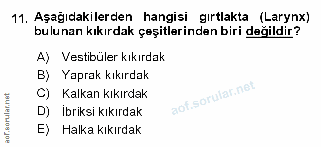 Soru 11