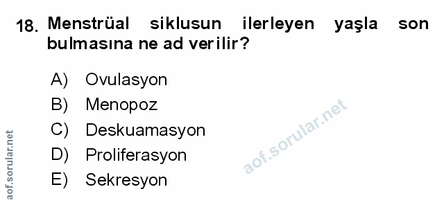 Soru 18