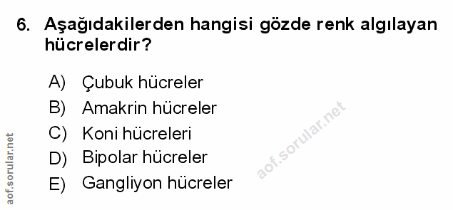 Soru 6