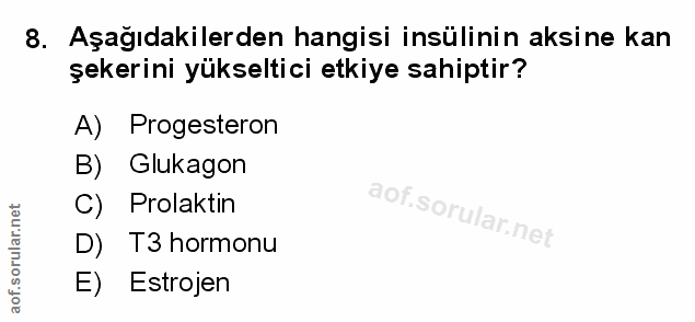 Soru 8
