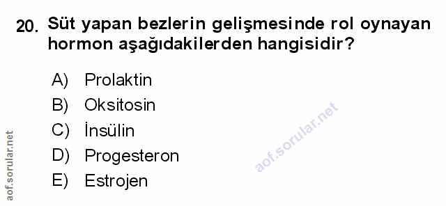 Soru 20