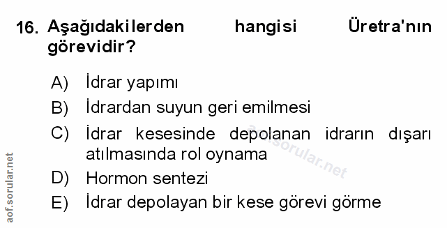 Soru 16