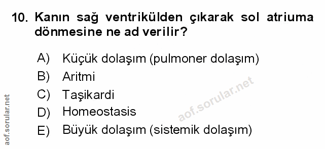 Soru 10