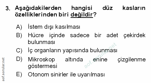 Soru 3
