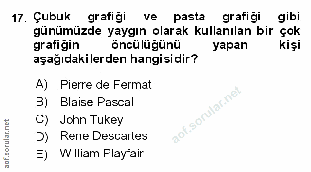 Soru 17