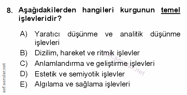 Soru 8