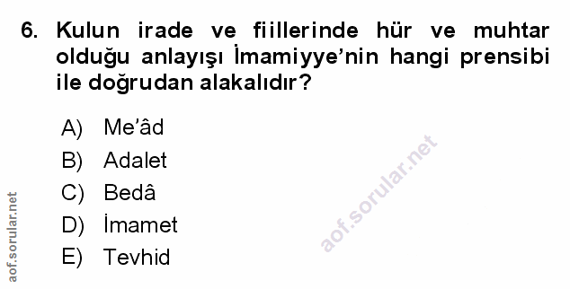 Soru 6