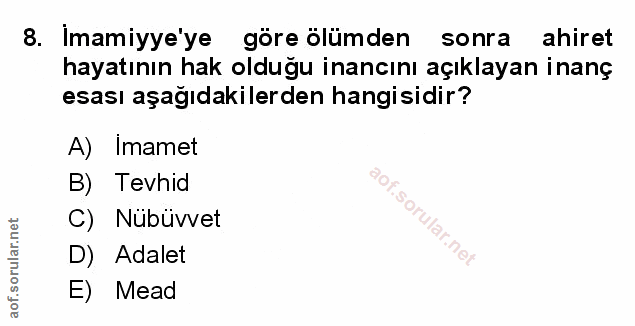 Soru 8