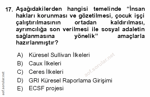 Soru 17