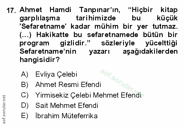 Soru 17