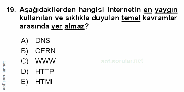 Soru 19