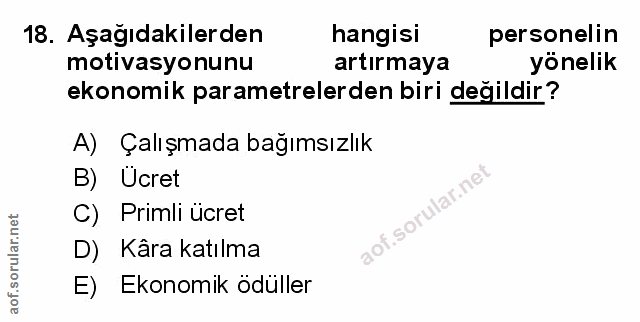 Soru 18