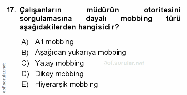 Soru 17