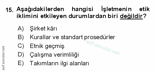Soru 15
