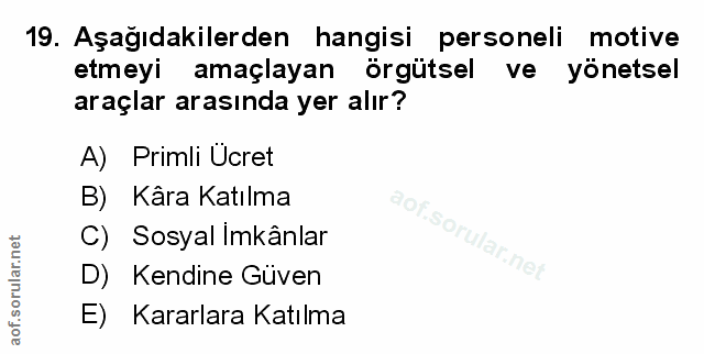 Soru 19