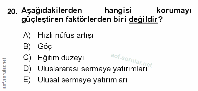 Soru 20