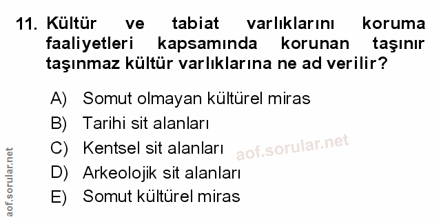Soru 11