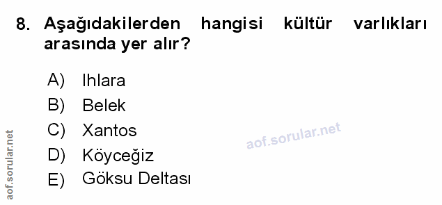 Soru 8