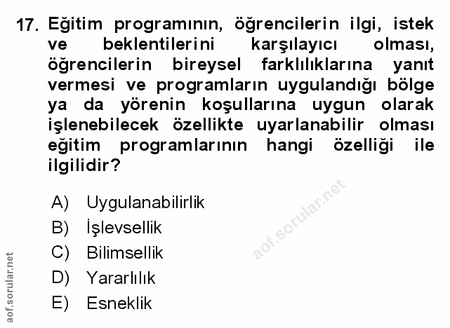 Soru 17