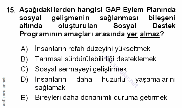 Soru 15
