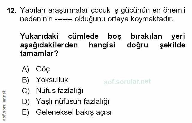 Soru 12