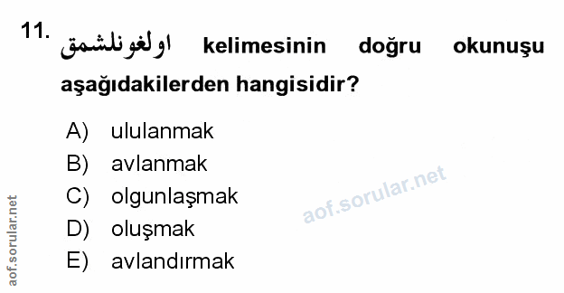 Soru 11