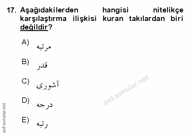 Soru 17