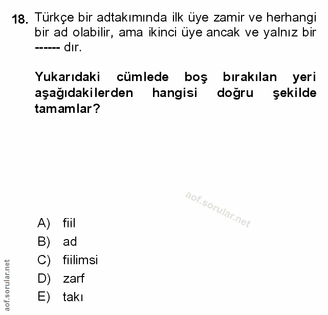 Soru 18