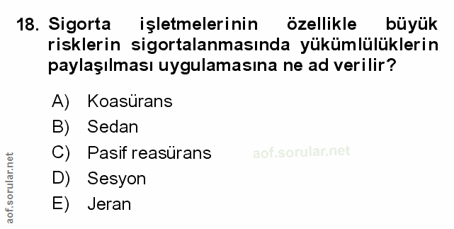 Soru 18